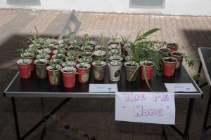 Tag des Guten Lebens 2019 Thielenstraße